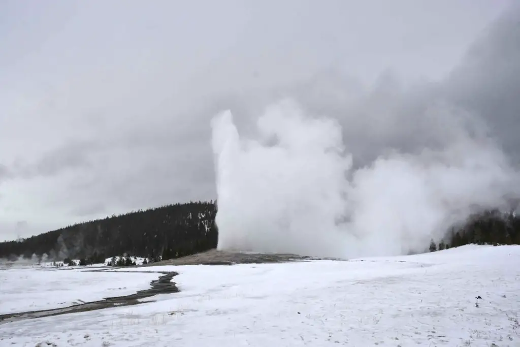 Up close to Old Faithful!