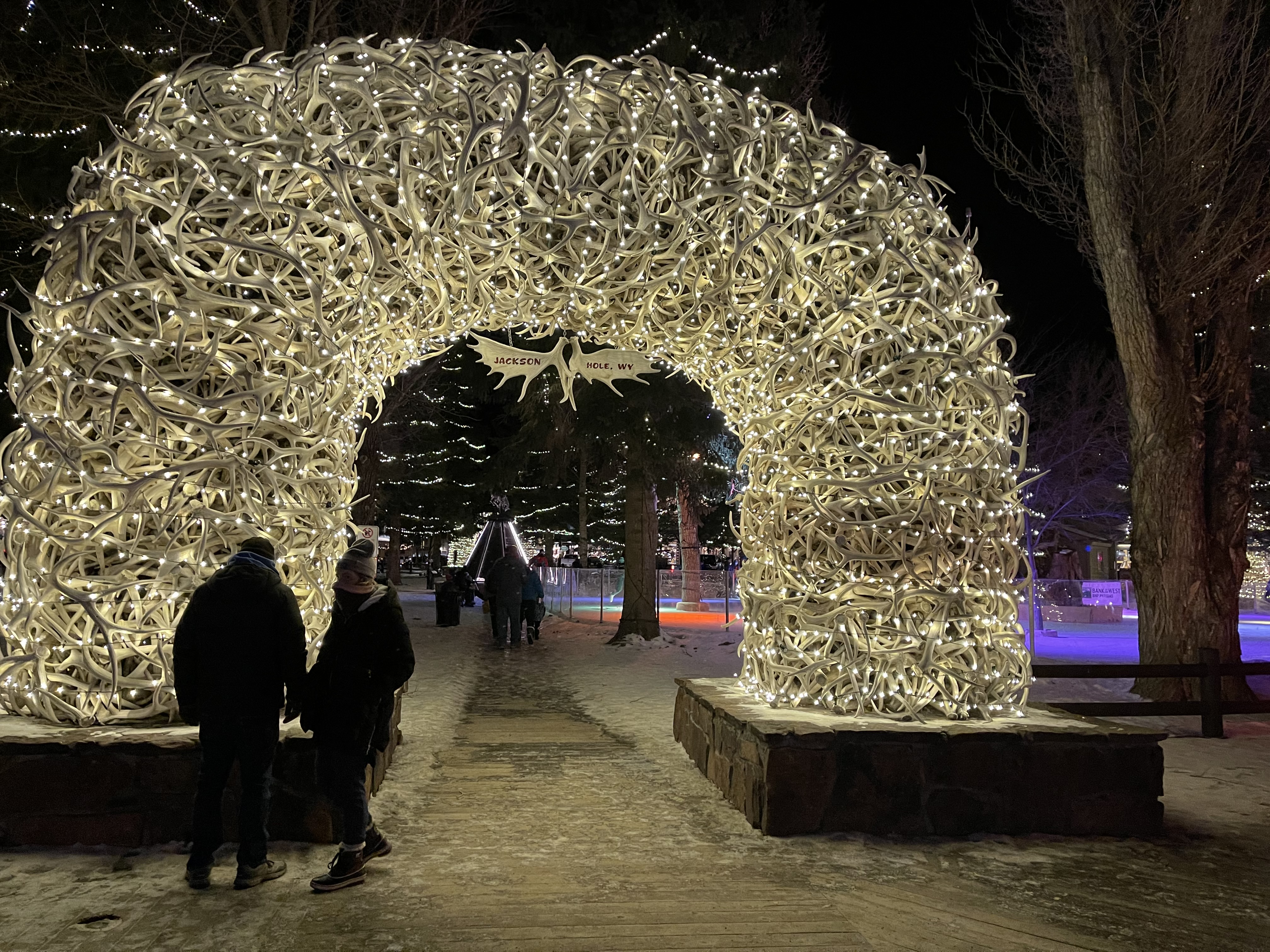 Antler decor is all over Jackson Hole