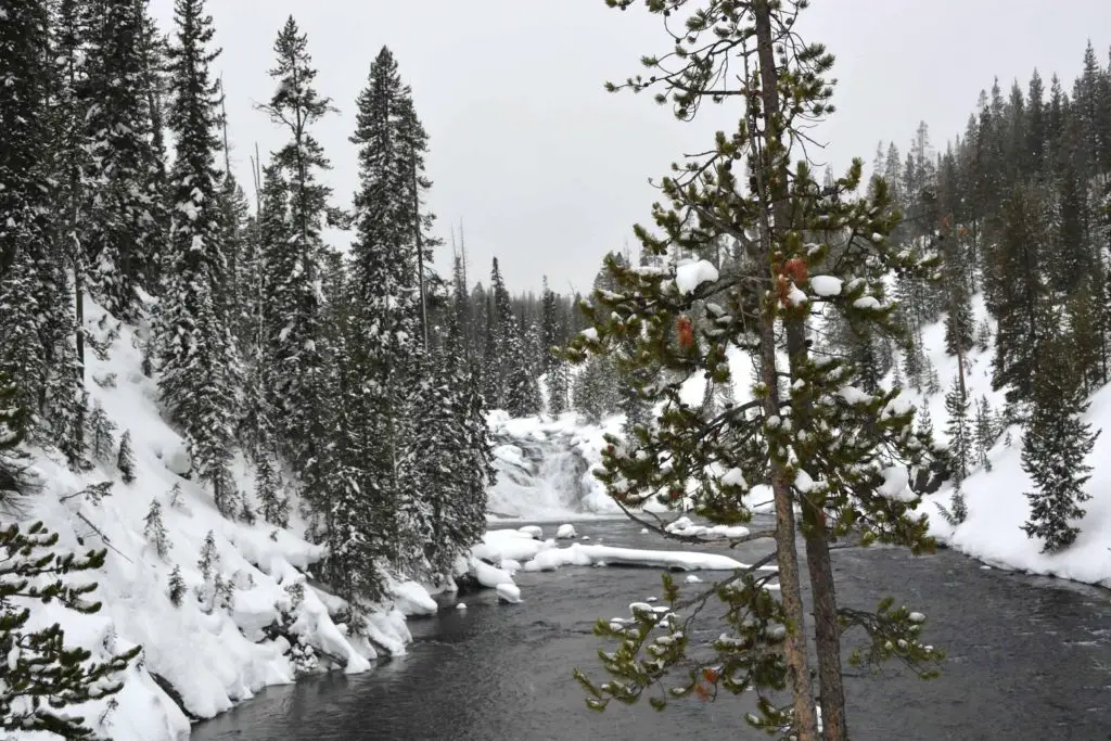 Jackson Hole is covered in natural beauty like this waterfall.