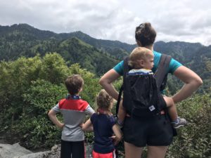 Enjoy the view from the top: hiking with kids. 