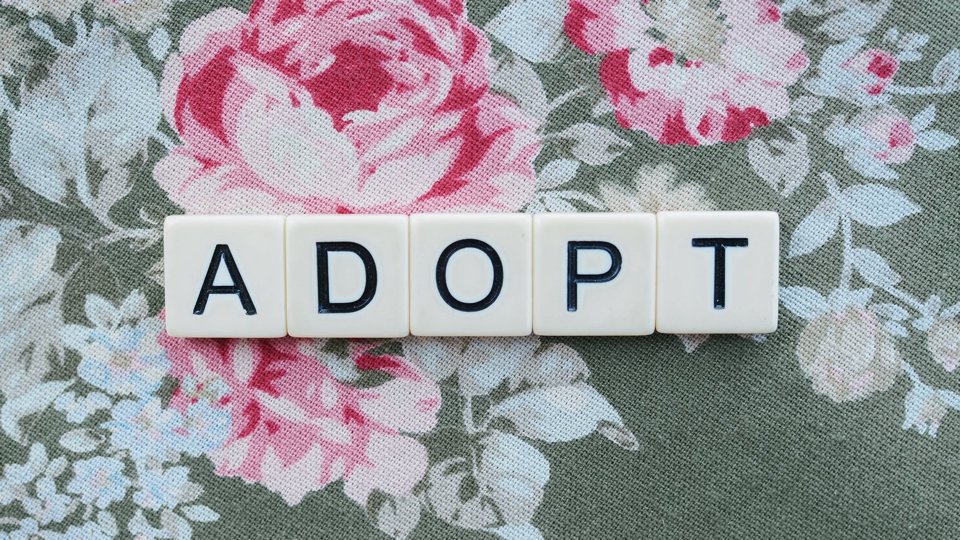 International Adoption Criteria: 8 Surprising Things You Didn’t Know