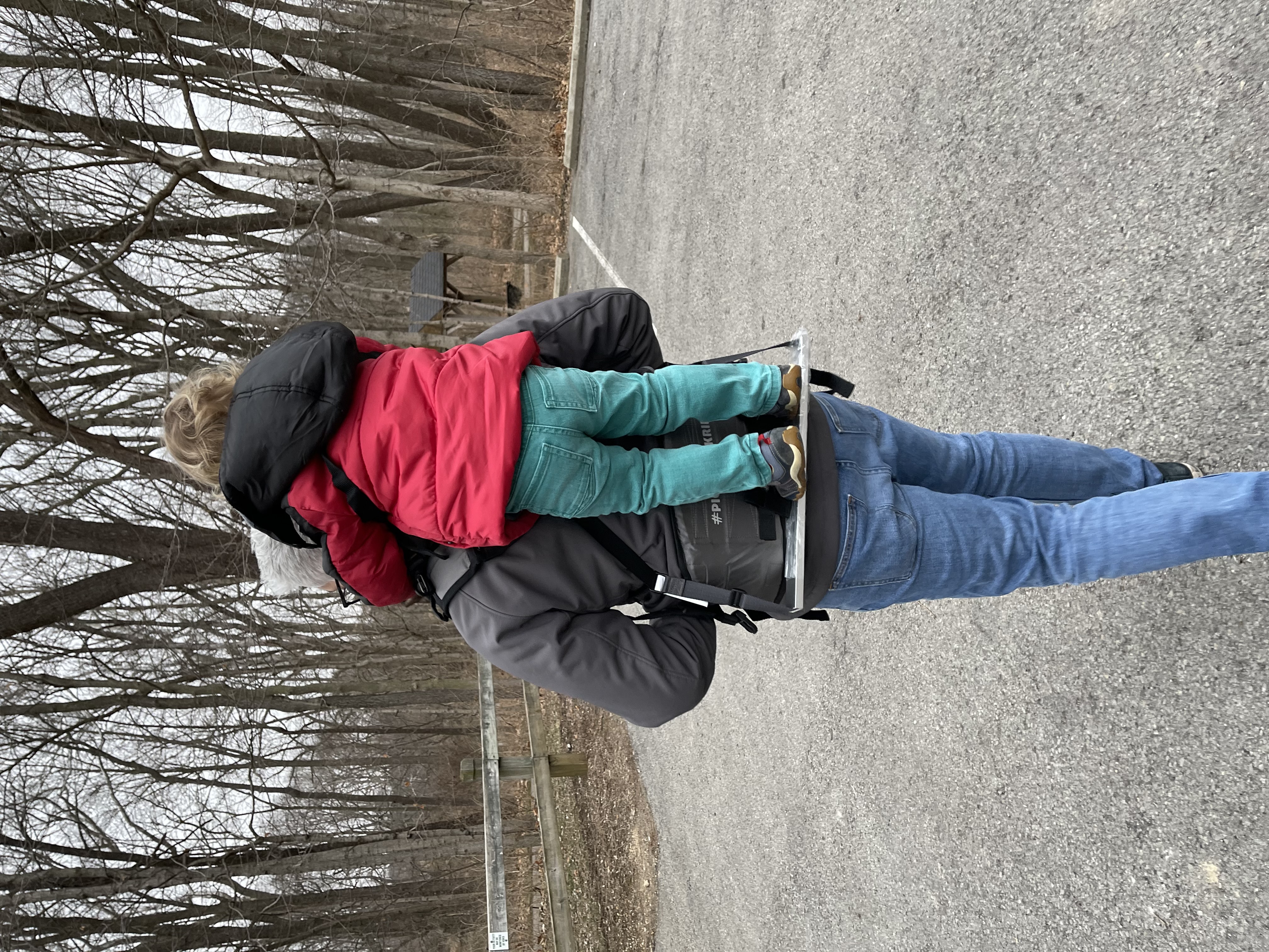 Piggyback Rider Toddler Carrier