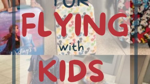 Flying with kids pin