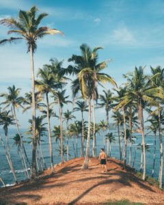 person standing on dirt surrounded by coconut trees