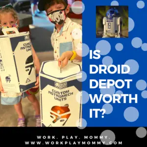 Is the Droid Depot worth the money?