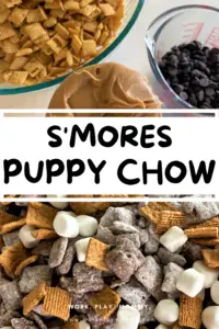 S'mores Puppy Chow Pin
