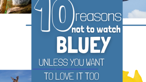 reasons not to watch bluey