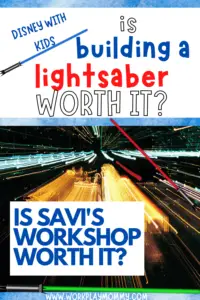 Savis Workshop Review