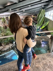 Enjoying the biodome at Granada, Spain's Parque de las ciencias