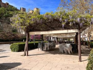 Lovely bars and restaurants along Paseo de los Tristes