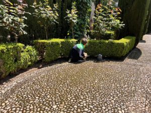 Miriam Tourist Guide helped our children learn about the Generalife gardens through hide and seek