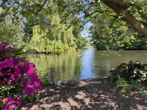 St. James Park