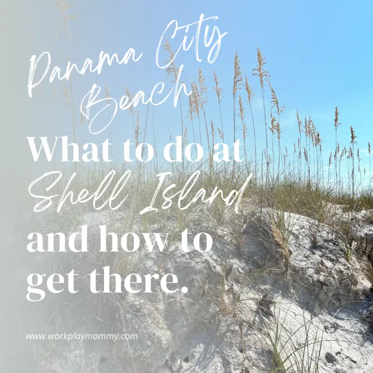 Shell Island Panama City Beach Florida How to Get There and What to Do