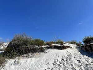 Shell Island nature reserve