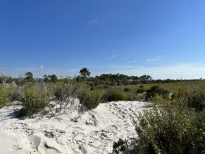 Shell Island reserve