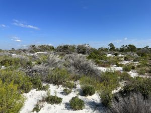 Natural reserve at Shell Island