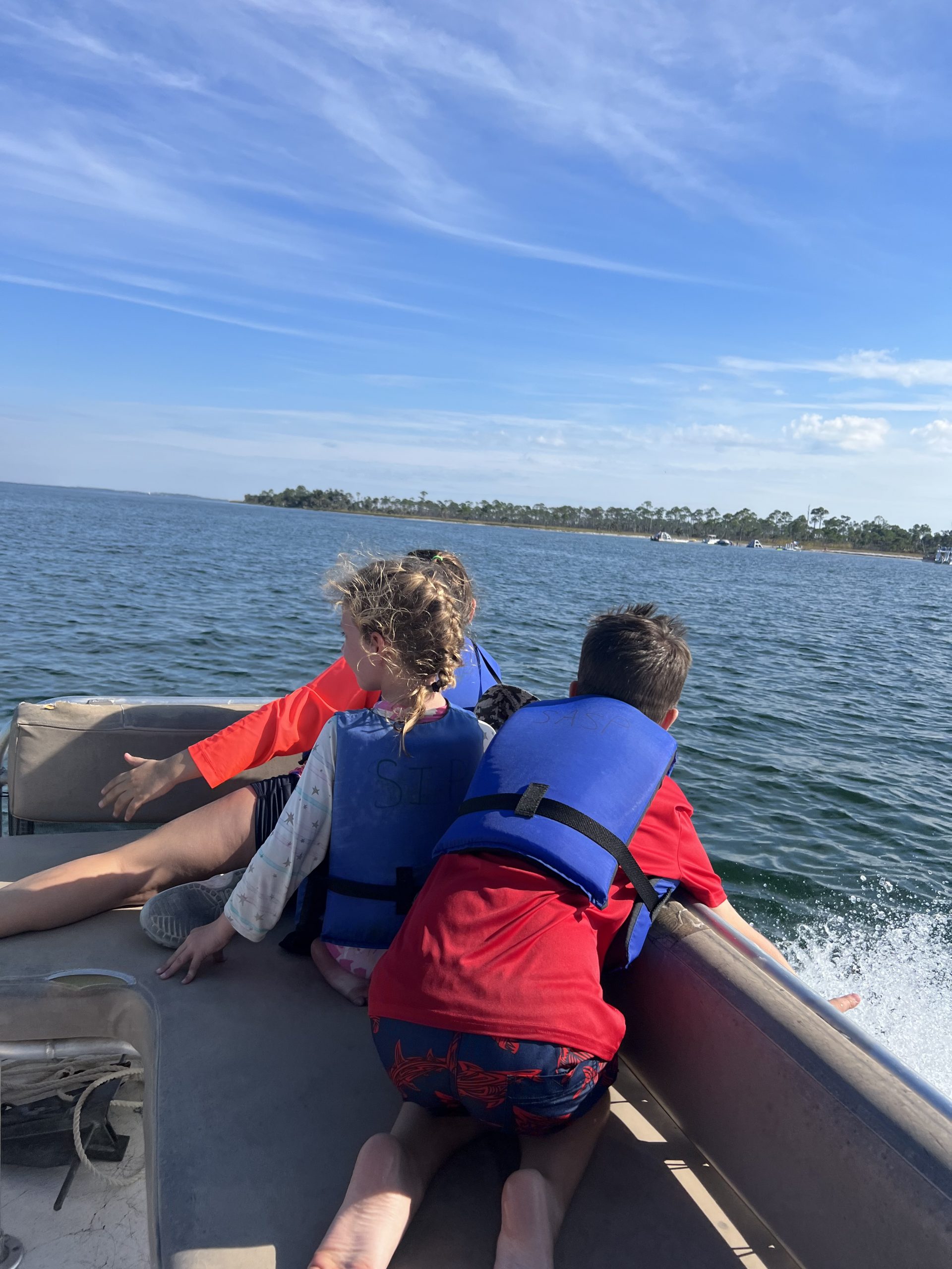 Shell Island Pontoon Boat