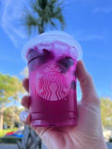 Starbucks pink drink and palm tree
