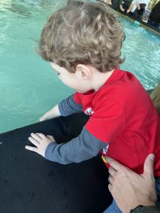 Child in stingray tank