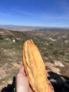 Bocadillo in the Alpujarras