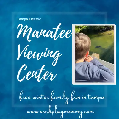 Tampa Manatee Viewing Center: Free Winter Family Fun