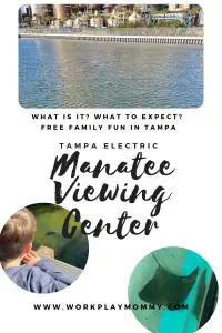 The Manatee Viewing Center