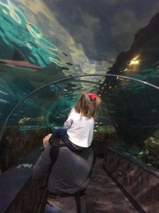 Shark walkway at Ripley's Aquarium