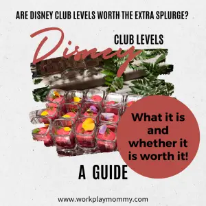 Disney Club Levels Explained