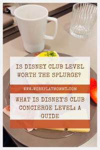 Disney Club Concierge Level Guide