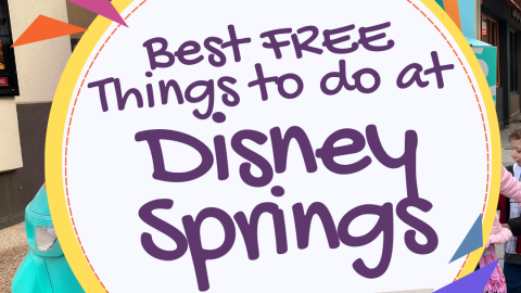 Best Free Things to do at Disney Springs