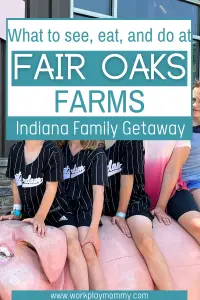 What to see, eat, and do at Fair Oaks Farms