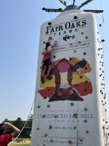 Mooville Climbing Wall at Fair Oaks