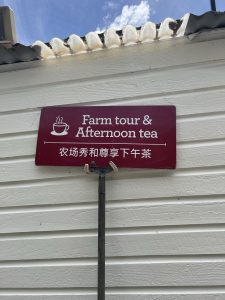 Farm tour and afternoon tea sign