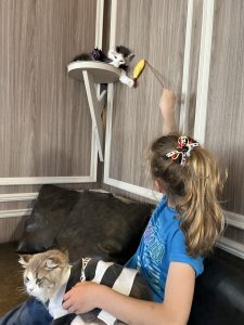 Little girl playing in Tokyo cat cafe